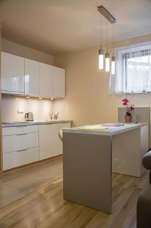 Апартаменты Apartament Ceprówka Закопане-40